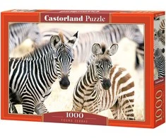 Castorland dėlionė Young Zebras 1000 det
