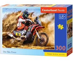 Castorland Dėlionė 300 vnt. - Krosinio motociklo galia