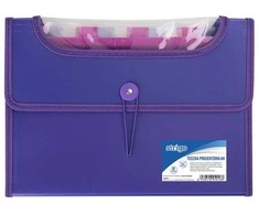 Strigo A4 aplankas su 12 STRIGO V-failų violetinių