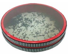 Condorwood Vandenyno būgnas, 20cm