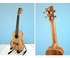 Koncertinė ukulelė Condorwood UC-2460