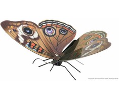 Metal Earth Metalinis 3D konstruktorius "Drugelis Buckeye"