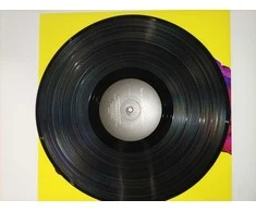 Vinilinė plokštelė Ecost prekė po grąžinimo New Order - Technique (Vinyl) (Atnaujinta)