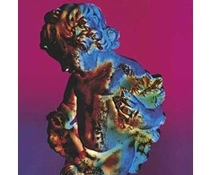 Vinilinė plokštelė Ecost prekė po grąžinimo New Order - Technique (Vinyl) (Atnaujinta)