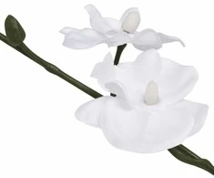 Dirbtinė orchidėja su vazonu, 30 cm, balta