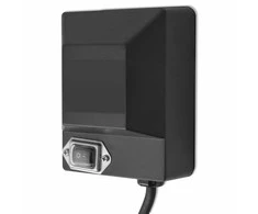 elektrinio griliaus iešmo motoras, 4 W, juodas