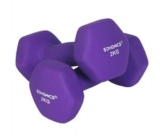 Songmics Hantelių rinkinys 2 x 2kg violetinės spalvos