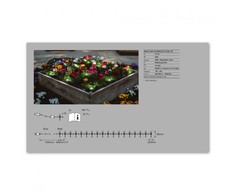 Ledvance 4W LED įleidžiami šviestuvai SMART+ WIFI GARDEN, reguliuojamos RGB spalvos
