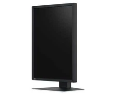 Monitorius Eizo 21" MX217-SB