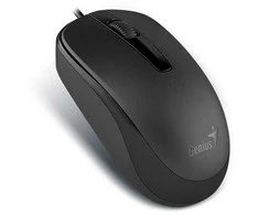 KYE 31010105106 Genius optinė pelė su laidu DX-120, USB Juodas