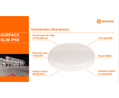 Sieninis šviestuvas Ledvance 35W LED plafonas SLIM, apvalus, baltas, 4000K, IP65