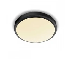 Lubinis šviestuvas Šviestuvas lubų Philips Doris, 17W, 2700°K, LED, juodas