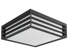 Lubinis šviestuvas Tvirtinamas šviestuvas Philips 1735093PN Moonshine E27 14W