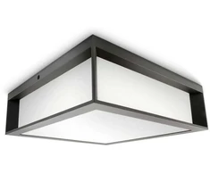 Sieninis šviestuvas Sieninis lauko šviestuvas PHILIPS SKIES, IP44, 2 x E27, max 14 W, 26x26x8,1 cm