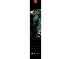 ACM Smiginio kilimėlis Bullet Fury, 300 × 60 cm