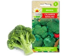 „Toraf“ brokolių sėklos „Calabrese Natalino“ 1 g