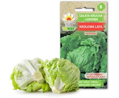 Toraf salotos, vasaros karalienė, 1 g ankstyvos