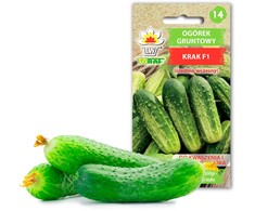 Cucumber Krak F1 Toraf Vegetable Seeds, 5g Package