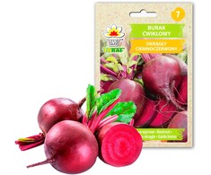 Toraf burokėlių sėklos tamsiai raudonos 20g