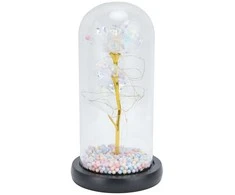 Extralink Pradžia | Amžina rožė stikle | baltas LED