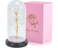 Extralink Pradžia | Amžina rožė stikle | baltas LED