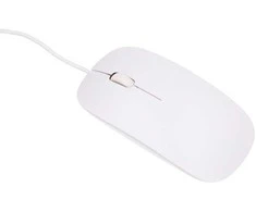 Stacionarus kompiuteris Extralink 24 colių „viskas viename“ biuro kompiuteris | Kompiuterių rinkinys | Intel i5-11300H, 16 GB DDR4, 512 GB SSD, klaviatūra, pelė, kamera