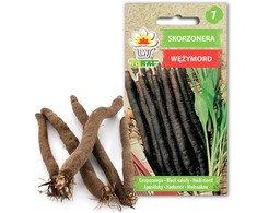 Toraf sėklos valgomoji scorzonera [2g]