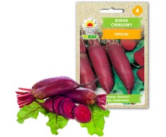 Toraf sėklos burokėlių Opolėje 10g