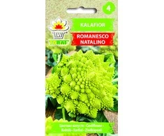 Toraf žiedinių kopūstų sėklos Romanesco Natalino 1g
