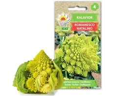 Toraf žiedinių kopūstų sėklos Romanesco Natalino 1g