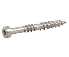 Medsraigčiai Essve, 4.8 x 42 mm, A2, TX20, 250 vnt.