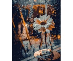 Tapyba pagal skaičius Daisy lietuje 40x50 cm