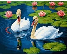 Tapyba pagal skaičius Grakščios gulbės 40x50 cm