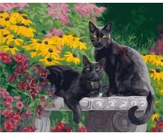 Tapyba pagal skaičius Juodos katės sode 40x50 cm