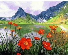 Tapyba pagal skaičius Kalnų aguonos 40x50 cm