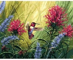 Tapyba pagal skaičius Kolibris žydint 40x50 cm