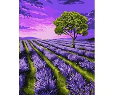 Tapyba pagal skaičius Levandų laukas 40x50 cm