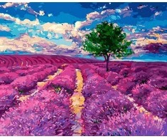 Tapyba pagal skaičius Levandų svajonė 40x50 cm