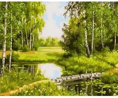 Tapyba pagal skaičius Miško atspindys 40x50 cm