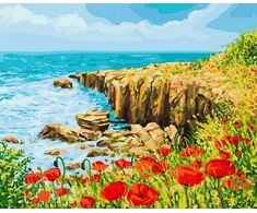 Tapyba pagal skaičius Pakrantės aguonos 40x50 cm