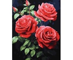 Tapyba pagal skaičius Raudonos rožės 40x50 cm