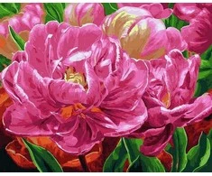 Tapyba pagal skaičius Rožinė Peony Delight 40x50 cm