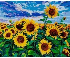 Tapyba pagal skaičius Saulėgrąžų laukas 40x50 cm