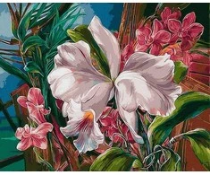 Tapyba pagal skaičius Tropinės orchidėjos 40x50 cm