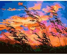 Tapyba pagal skaičius Vėjuotas saulėlydis 40x50 cm