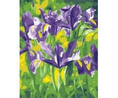 Tapyba pagal skaičius Violetiniai vilkdalgiai 40x50 cm