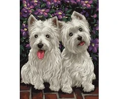 Tapyba pagal skaičius Westie Duo 40x50 cm