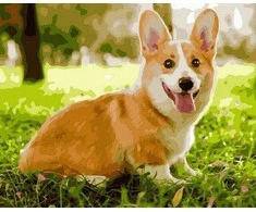 Tapyba pagal skaičius Žaismingas Corgi 40x50 cm