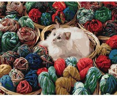 TPS Tapyba pagal skaičius Katė 40x50 cm