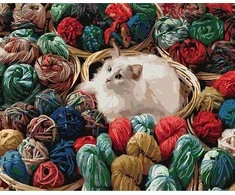 TPS Tapyba pagal skaičius Katė 40x50 cm